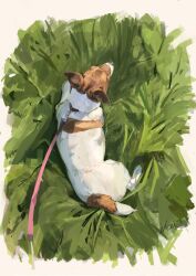 Rule 34 | animal focus, artist name, border, collar, day, dog, from above, full body, grass, highres, ikei, leash, lying, no humans, on ground, on stomach, original, outdoors, signature