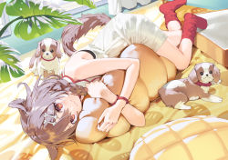 Rule 34 | 1girl, :3, animal, animal ears, bare arms, bare shoulders, bed, bone hair ornament, bracelet, braid, brown eyes, brown hair, cartoon bone, chocolate cornet, closed mouth, commentary, dog, dog ears, dog girl, dog tail, dress, food, hair between eyes, hair ornament, highres, hololive, hugging object, inugami korone, inugami korone (1st costume), jewelry, kitada mo, long hair, looking at viewer, lying, no shoes, on bed, on side, pillow, pillow hug, red socks, sleeveless, sleeveless dress, socks, solo, symbol-only commentary, tail, twin braids, virtual youtuber, white dress