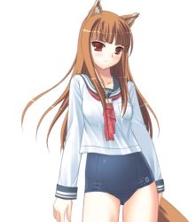 Rule 34 | 00s, animal ears, brown hair, holo, long hair, no pants, one-piece swimsuit, red eyes, sai gakai, school swimsuit, school uniform, serafuku, solo, spice and wolf, swimsuit, swimsuit under clothes, tail, wolf ears, wolf tail