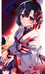 Rule 34 | 1girl, absurdres, anfuji uiro, black butterfly, black hair, blurry, blurry background, blush, border, bug, butterfly, earrings, floral print, flower, hair ornament, highres, idolmaster, idolmaster cinderella girls, insect, japanese clothes, jewelry, kimono, long sleeves, looking at viewer, obi, parted lips, purple eyes, sash, seiza, shiragiku hotaru, short hair, sitting, solo, spider lily, spider lily print, stud earrings, white border, white kimono, wide sleeves