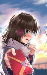 Rule 34 | 1girl, absurdres, black hair, blue eyes, blush, box, commentary request, day, embarrassed, enpera, from side, gift, gift box, gradient sky, highres, holding, holding gift, incoming gift, lens flare, long hair, long sleeves, looking at viewer, looking to the side, motion lines, nose blush, open mouth, original, profile, pulled by self, scarf, scarf pull, shionji ax, sideways glance, sky, solo, striped clothes, striped scarf, sunlight, sweat, trembling, upper body, valentine, vertical stripes, white scarf