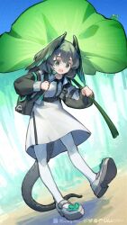 Rule 34 | 1girl, :d, animal, arknights, backpack, bag, black jacket, black wings, commentary request, day, dress, feathered wings, frog, green eyes, green wings, grey footwear, head wings, highres, ho&#039;olheyak (arknights), holding, holding leaf, jacket, leaf, leaf umbrella, long sleeves, open clothes, open jacket, open mouth, outdoors, pantyhose, puffy long sleeves, puffy sleeves, rockyroo, shoe soles, shoes, smile, solo, tail, white dress, white pantyhose, wings