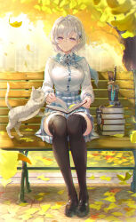 Rule 34 | 1girl, absurdres, animal, aqua sailor collar, autumn, autumn leaves, bench, black footwear, black thighhighs, blue bow, blue bowtie, blue skirt, blush, book, book stack, bow, bowtie, braid, breasts, brown thighhighs, cat, chromatic aberration, closed mouth, commentary request, day, falling leaves, full body, glasses, hair intakes, hair ornament, hairclip, high-waist skirt, highres, holding, large breasts, leaf, legs together, loafers, long sleeves, looking at viewer, maple leaf, miniskirt, on bench, open book, original, outdoors, plaid, plaid bow, plaid bowtie, plaid skirt, pleated skirt, puffy long sleeves, puffy sleeves, purple eyes, purple pupils, reading, rimless eyewear, sailor collar, school uniform, shirt, shirt tucked in, shoes, short hair, sidelocks, sitting, skirt, smile, solo, taut clothes, taut shirt, tel-o, thighhighs, tree, white hair, white shirt, x hair ornament, zettai ryouiki