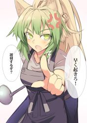 Rule 34 | 1girl, alternate costume, anger vein, angry, animal ear fluff, animal ears, apron, atalanta (fate), blush, breasts, brown hair, cat ears, commentary request, fate/apocrypha, fate/grand order, fate (series), gradient hair, green eyes, green hair, grey apron, index finger raised, ladle, light blush, long hair, looking at viewer, medium breasts, multicolored hair, nahu, open mouth, scolding, simple background, solo, translated, two-tone hair, undershirt, white background