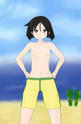 Rule 34 | 1girl, artist request, beach, black eyes, black hair, blue sky, blurry, blurry background, brave witches, breasts, cloud, cowboy shot, day, female focus, flat chest, hands on own hips, highres, kanno naoe, looking at viewer, male swimwear, male swimwear challenge, medium hair, nipples, ocean, outdoors, sand, sky, solo, standing, swim trunks, swimsuit, tagme, topless, water, world witches series, yellow male swimwear, yellow swim trunks