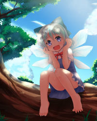 Rule 34 | 1girl, :d, bare legs, barefoot, blue eyes, blue hair, bow, cirno, feet, hair bow, ice, ice wings, in tree, matching hair/eyes, nature, niiya, open mouth, short hair, sitting, sitting in tree, smile, solo, toes, touhou, tree, wings