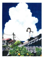 Rule 34 | 1girl, absurdres, architecture, between legs, black hair, border, building, cloud, day, east asian architecture, fuyuno kamome, hair ornament, hairclip, hand between legs, highres, loafers, on roof, original, outdoors, power lines, rooftop, scenery, school uniform, serafuku, shoes, short hair, sky, socks, solo, tree, white border, white socks