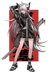 Rule 34 | 1girl, animal ears, arknights, bare legs, black coat, black footwear, black shorts, chinese commentary, coat, commentary, contrapposto, english commentary, eyes visible through hair, fangs, full body, hair between eyes, hair ornament, katana, koli (ssssoliko), lappland (arknights), long hair, looking at viewer, material growth, mixed-language commentary, one eye closed, open mouth, oripathy lesion (arknights), red background, shirt, shoes, short shorts, shorts, silver hair, simple background, single sock, smile, socks, solo, spiked hair, standing, striped clothes, striped socks, sword, tail, thighs, two-tone background, weapon, white background, white shirt, wolf ears, wolf tail, yellow eyes