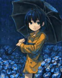 Rule 34 | 1girl, black hair, blue eyes, blue hair, flower, hydrangea, kitsune (kazenouta), kitsune (pixiv), lowres, matching hair/eyes, rain, short hair, smile, solo, umbrella