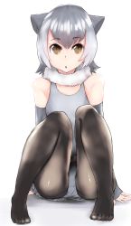 Rule 34 | 10s, 1girl, absurdres, alternate legwear, animal ears, bad id, bad pixiv id, black pantyhose, elbow gloves, fingerless gloves, fur collar, gloves, grey hair, highres, kemono friends, knees to chest, multicolored hair, one-piece swimsuit, otter ears, pantyhose, pantyhose under swimsuit, rairasu (sushirairasu), short hair, sitting, small-clawed otter (kemono friends), solo, swimsuit, white hair