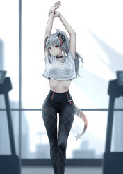 Rule 34 | 1girl, absurdres, alternate hairstyle, arknights, arms up, bare arms, black choker, black pants, brown eyes, chinese commentary, choker, commentary request, crop top, crop top overhang, earrings, feet out of frame, highres, horns, indoors, jewelry, leggings, long hair, looking at viewer, midriff, pants, ponytail, saria (arknights), shirt, short sleeves, silver hair, solo, standing, stomach, stretching, stud earrings, tail, thighs, white shirt, yunkaiming