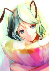 Rule 34 | 1girl, antennae, blue eyes, dearmybrothers, face, female focus, green eyes, green hair, highres, matching hair/eyes, hugging object, aged up, pillow, pillow hug, short hair, smile, solo, touhou, wriggle nightbug