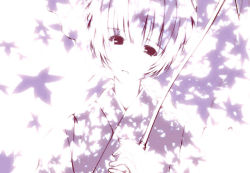 Rule 34 | 1girl, ayanami rei, dappled sunlight, head tilt, holding, japanese clothes, kimono, looking at viewer, monochrome, neon genesis evangelion, parted lips, solo, stick, sunlight, upper body