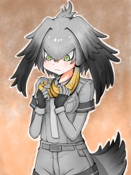 Rule 34 | 10s, 1girl, belt, bird tail, black gloves, blonde hair, bodystocking, breast pocket, commentary request, fingerless gloves, frown, gloves, green eyes, grey hair, grey shirt, grey shorts, hair between eyes, twirling hair, hands up, head wings, highres, kemono friends, looking down, low ponytail, multicolored hair, necktie, outline, playing with own hair, pocket, shirt, shizuraku, shoebill (kemono friends), short sleeves, shorts, side ponytail, solo, tail, twitter username, white outline, wings