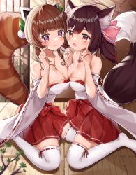 Rule 34 | 2girls, absurdres, animal ear fluff, animal ears, asymmetrical docking, bare shoulders, blunt bangs, blurry, blurry foreground, blush, bonsai, breast press, breasts, brown hair, cherry blossoms, cleavage, collarbone, colored tips, dress, finger heart, fox ears, fox girl, fox shadow puppet, fox tail, hair between eyes, hair ornament, hands up, highres, holding hands, indoors, japanese clothes, jewelry, lace, lace-trimmed legwear, lace trim, large breasts, leaf hair ornament, long hair, looking at viewer, miko, miniskirt, multicolored hair, multiple girls, necklace, nontraditional miko, off-shoulder dress, off shoulder, original, pleated skirt, pom pom (clothes), pom pom hair ornament, purple eyes, red eyes, red panda ears, red panda girl, red panda tail, shi zhuzi da, side-by-side, sitting, skirt, smile, swept bangs, tail, thick eyebrows, thighhighs, white thighhighs, wide sleeves, yokozuwari, zettai ryouiki