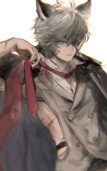Rule 34 | 1boy, animal ears, backless outfit, blue eyes, buttons, cat boy, cat ears, closed mouth, collared shirt, double-breasted, erune, expressionless, eyepatch, granblue fantasy, grey hair, grey jacket, grey pants, highres, iwashi (morpho000), jacket, jacket on shoulders, lapels, male focus, necktie, nehan (granblue fantasy), notched lapels, pants, red necktie, removing necktie, scar, scar on arm, scar on back, shirt, short hair, simple background, solo, upper body, white background, white shirt