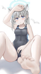 Rule 34 | absurdres, animal ear fluff, animal ears, barefoot, black one-piece swimsuit, blue archive, blue eyes, blurry, breasts, competition swimsuit, covered navel, cross hair ornament, depth of field, extra ears, grey hair, hair ornament, halo, highres, k12040707, looking at viewer, low ponytail, medium breasts, medium hair, mismatched pupils, multicolored clothes, multicolored swimsuit, official alternate costume, one-piece swimsuit, shiroko (blue archive), shiroko (swimsuit) (blue archive), simple background, sitting, swimsuit, white background, wolf ears