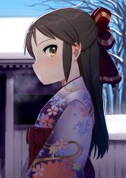 Rule 34 | 1girl, absurdres, blue sky, bow, breath, brown eyes, brown hair, cherry blossom print, closed mouth, day, floral print, hair bow, half updo, highres, idolmaster, idolmaster cinderella girls, japanese clothes, kimono, long hair, long sleeves, looking at viewer, looking to the side, obi, outdoors, pettan p, print kimono, profile, purple kimono, red bow, sash, sideways mouth, sky, snow, solo, tachibana arisu, upper body, winter