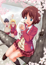 Rule 34 | 3girls, :d, :o, animal, arms up, black hair, black socks, blazer, blonde hair, blue eyes, blush, bow, bowtie, branch, brown footwear, brown hair, buttons, cardigan, cat, charm (object), cherry blossoms, collared shirt, comic sumomo, dappled sunlight, flower, foot dangle, green eyes, holding, holding animal, holding cat, in tree, jacket, kneehighs, loafers, long sleeves, looking up, miniskirt, multiple girls, necktie, open clothes, open jacket, open mouth, outdoors, own hands together, plaid, plaid skirt, pocket, ponytail, red jacket, red necktie, school uniform, shirt, shoes, short hair, sitting, sitting in tree, skirt, smile, socks, sunlight, takayaki, tree, w arms, white shirt