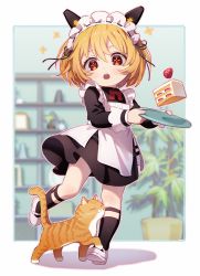 Rule 34 | 1girl, apron, black dress, black socks, blonde hair, blurry, blurry background, bow, bowtie, cake, cake slice, cat, cross-shaped pupils, dress, food, full body, headgear, highres, holding, holding plate, kneehighs, long sleeves, looking at viewer, maid, maid headdress, mi-a (tower of fantasy), open mouth, orange eyes, plate, poponpo294111, red bow, red bowtie, shoes, short hair, socks, solo, symbol-shaped pupils, tower of fantasy, white apron, white footwear