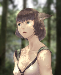 Rule 34 | 1girl, absurdres, animal ear fluff, animal ears, artist name, adventurer (ff11), black hairband, blue eyes, blurry, blurry background, breasts, brown hair, cactus41747280, cat ears, cat girl, cleavage, collarbone, dappled sunlight, final fantasy, final fantasy xi, hairband, highres, medium breasts, mithra (ff11), open mouth, pink lips, solo, sunlight, upper body