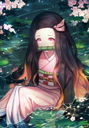 Rule 34 | 1girl, bamboo, bit gag, black hair, blush, cherry blossoms, fingernails, gag, gagged, highres, inosia, japanese clothes, kamado nezuko, kimetsu no yaiba, kimono, long hair, looking at viewer, md5 mismatch, mouth hold, multicolored hair, pink eyes, resolution mismatch, sitting, solo, source larger, very long hair, water
