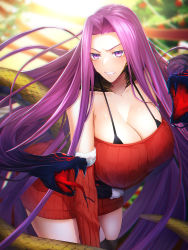 Rule 34 | 1girl, absurdly long hair, alternate costume, angry, breasts, christmas, curvy, fate/grand order, fate (series), gorgon (fate), highres, huge breasts, large breasts, long hair, medusa (fate), medusa (rider) (fate), minami koyogi, purple hair, red sweater, rider, snake, square pupils, sweater, thighhighs, thighs, very long hair