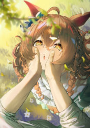 Rule 34 | 1boy, 1girl, ahoge, animal ears, blue bow, blurry, blurry foreground, bow, braid, branch, brown eyes, brown hair, commentary request, day, depth of field, dress, ear bow, eyebrows hidden by hair, frilled dress, frills, green dress, hair between eyes, hands on another&#039;s face, highres, horse ears, long hair, long sleeves, mejiro bright (umamusume), outdoors, parted lips, shirt, sunagami13, trainer (umamusume), twin braids, umamusume, very long hair, white shirt
