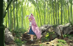 Rule 34 | 1girl, animal ears, bamboo, bamboo forest, forest, long hair, nature, one-hour drawing challenge, purple hair, rabbit ears, red eyes, reisen udongein inaba, skirt, smile, solo, suna (s73d), touhou, very long hair