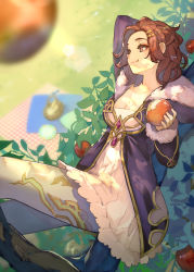 Rule 34 | 1girl, apple, blanket, blurry, blurry foreground, branch, breasts, brown eyes, brown hair, cleavage, closed mouth, collarbone, commentary request, commission, cowboy shot, day, dress, eating, food, fruit, fur-trimmed dress, fur trim, grass, hair ornament, hairclip, hide (hideout), highres, holding, holding food, holding fruit, leaf, long hair, long sleeves, looking away, original, outdoors, picnic, picnic basket, plate, purple dress, skeb commission, solo