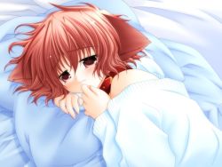 Rule 34 | 1girl, animal ears, bare shoulders, bed, blush, child, collar, dog ears, fang, female focus, game cg, hinata (pure pure), indoors, lying, pillow, pure pure, red eyes, red hair, sakurazawa izumi, short hair, solo, sweater, tears