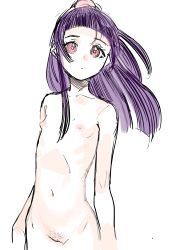 Rule 34 | 1girl, absurdres, bad id, bad pixiv id, breasts, collarbone, female pubic hair, highres, hime cut, izayoi liko, kuppipi ramutarou, mahou girls precure!, navel, nipples, nude, perky breasts, precure, pubic hair, purple hair, pussy, red eyes, sidelocks, simple background, small breasts, standing, stomach, white background