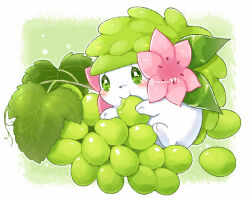 Rule 34 | :t, aimi (aimia492), artist name, blush, border, closed mouth, commentary request, creatures (company), eating, flower, food, fruit, full body, game freak, gen 4 pokemon, grapes, green background, green eyes, leaf, legendary pokemon, looking at viewer, mythical pokemon, nintendo, no humans, outside border, pink flower, pokemon, pokemon (creature), shaymin, shaymin (land), simple background, smile, solo, twitter username, white border