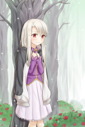 Rule 34 | 1girl, against tree, closed mouth, collared shirt, day, fate/stay night, fate (series), flower, forest, frilled skirt, frills, gyatto624, hair between eyes, illyasviel von einzbern, long hair, long sleeves, medium skirt, nature, outdoors, pink neckwear, pleated skirt, purple shirt, red eyes, red flower, shirt, silver hair, skirt, solo, standing, tree, white skirt, wing collar