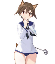 Rule 34 | 1girl, absurdres, animal ears, bkf3110, blue one-piece swimsuit, blush, breasts, brown eyes, brown hair, closed mouth, dog ears, dog tail, dress, highres, knife, ladle, looking at viewer, military, military uniform, miyafuji yoshika, one-piece swimsuit, sailor dress, shiny skin, small breasts, smile, solo, standing, strike witches, swimsuit, tail, uniform, v, world witches series