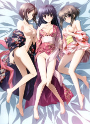 Rule 34 | 2c=galore, 3girls, absurdres, amamiya yuuko, ass, bare legs, barefoot, blue hair, blush, breasts, brown hair, cleavage, collaboration, completely nude, covering breasts, covering crotch, covering privates, ef (visual novel), feet, floral print, full body, groin, hayama mizuki (angel&#039;s sunday), highres, hirono nagi, japanese clothes, kimono, large breasts, legs, long hair, long legs, looking at viewer, lying, multiple girls, nanao naru, no bra, no panties, non-web source, nude, official art, on back, on bed, on side, open clothes, open mouth, pink eyes, pink kimono, print kimono, purple kimono, red eyes, red kimono, short hair, short kimono, short yukata, shouna mitsuishi, sideboob, smile, soles, thighs, toe-point, toes, topless, very long hair, yukata