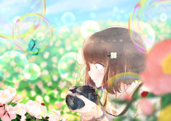 Rule 34 | 1girl, absurdres, blue sky, blurry, blurry background, blurry foreground, blush, brown hair, bug, butterfly, camera, day, field, flower, flower field, hair ornament, hairclip, highres, holding, holding camera, bug, ladybug, nail polish, original, outdoors, pink nails, profile, sanasedayo, short hair, sky, upper body