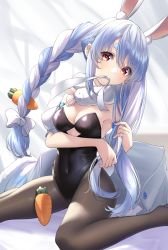 Rule 34 | 1girl, animal ear fluff, animal ears, armpits, black leotard, black pantyhose, blue hair, braid, breasts, carrot, commentary request, don-chan (usada pekora), hair between eyes, hair ribbon, highres, hololive, jacket, leotard, looking at viewer, mouth hold, multicolored hair, pantyhose, playboy bunny, rabbit ears, rabbit girl, rabbit tail, red eyes, ribbon, ribbon in mouth, sitting, small breasts, solo, tail, thick eyebrows, tsurupy, twin braids, two-tone hair, tying hair, usada pekora, usada pekora (1st costume), virtual youtuber, white hair, white jacket, white ribbon