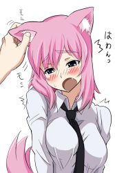 Rule 34 | 1girl, animal ears, black necktie, blue eyes, blush, breasts, eargasm, fang, hand on another&#039;s ear, highres, necktie, open mouth, original, pink hair, shirt, simple background, solo focus, tadanon, tail, uncommon stimulation, white background, white shirt, wolf ears, wolf tail