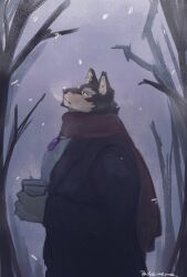 Rule 34 | 1boy, animal ears, bara, bare tree, black jacket, commentary request, condensation, cup, dog boy, dog ears, drink, fog, from side, furry, furry male, gem, highres, holding, holding cup, holding drink, jacket, jewelry, live a hero, looking up, male focus, necklace, pubraseer (live a hero), red scarf, scarf, snow, sweater, thick eyebrows, tree, twitter username, uwa uwa uwaa, white sweater