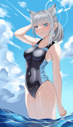 Rule 34 | 1girl, absurdres, animal ear fluff, animal ears, black one-piece swimsuit, blue archive, blue eyes, blue sky, breasts, cloud, competition swimsuit, covered navel, cowboy shot, cross hair ornament, day, extra ears, fujisawa sorao, grey hair, hair ornament, halo, highres, low ponytail, medium breasts, medium hair, mismatched pupils, multicolored clothes, multicolored swimsuit, one-piece swimsuit, outdoors, shiroko (blue archive), shiroko (swimsuit) (blue archive), sky, soaking feet, solo, standing, swimsuit, water