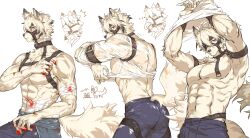 Rule 34 | 1boy, abs, absurdres, animal ear fluff, armband, arms up, bandaid, bandaid on face, blood, blood on arm, blood on hands, blood on stomach, body fur, claws, closed mouth, clothes lift, colored tips, commentary, cowboy shot, english commentary, furry, furry male, harness, haru41113, highres, injury, looking at viewer, looking back, male focus, multicolored hair, multiple views, red eyes, see-through clothes, see-through shirt, shirt, shirt lift, short hair, simple background, toned, toned male, von lycaon, wet, white background, white fur, white hair, wolf boy, zenless zone zero