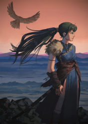 Rule 34 | 1girl, bird, commentary, fire emblem, fire emblem: the blazing blade, from side, green hair, highres, illustman (u ip8s), long hair, lyn (fire emblem), nintendo, pelvic curtain, ponytail, profile, red sky, side slit, sky, solo, sword, weapon