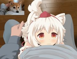 Rule 34 | 1girl, animal ears, blush, detached sleeves, dog, fang, fang out, feet, hat, hat ribbon, headpat, inubashiri momiji, lap pillow, looking at viewer, maromi gou, petite, photo-referenced, photo inset, pov, pov hands, red eyes, reference inset, reference photo, ribbon, ribbon-trimmed sleeves, ribbon trim, shiba inu, tail, tokin hat, touhou, white hair, wolf ears, wolf tail