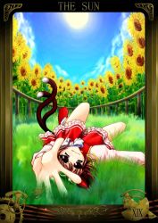 Rule 34 | 1girl, brown eyes, brown hair, chen, dress, female focus, flower, hat, nature, nekomata, outdoors, plant, sky, solo, sunflower, tail, touhou