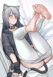 Rule 34 | 1girl, animal ears, arknights, ass, barefoot, bell, black gloves, blush, breasts, cat ears, cat tail, closed mouth, clothes pull, collar, cuffs, dutch angle, earrings, feet, fingerless gloves, gloves, grey hair, hair over one eye, handcuffs, highres, iuui, jewelry, jingle bell, legs up, long hair, medium breasts, midriff, nail polish, neck bell, official alternate costume, pants, pants pull, schwarz (arknights), schwarz (skyline) (arknights), sidelocks, sitting, soles, solo, tail, toes, yellow eyes