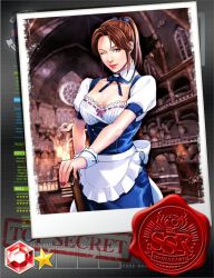 Rule 34 | 1girl, apron, biohazard team survive, blue eyes, breasts, broom, brown hair, capcom, card, claire redfield, cleavage, detached collar, lipstick, looking at viewer, maid, maid apron, makeup, official art, one eye closed, resident evil, resident evil 2, ribbon, smile, wink