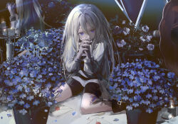 Rule 34 | 1girl, belt buckle, black footwear, black shorts, buckle, candle, character request, covered mouth, fire, from behind, full body, gleam, hair between eyes, hezaizhou, highres, indoors, interlocked fingers, long hair, long sleeves, multiple views, own hands clasped, own hands together, petals, plant, potted plant, praying, puffy long sleeves, puffy sleeves, purple eyes, rachel gardner, satsuriku no tenshi, shirt, shoe belt, shorts, sitting, straight hair, striped clothes, striped shirt, table, very long hair, wariza, white hair, white shirt