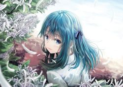 Rule 34 | 1girl, blue eyes, blue ribbon, blurry, blush, closed mouth, depth of field, flower, from above, hair ribbon, leaf, long hair, looking at viewer, original, ribbon, shirt, solo, white flower, white shirt, windfeathers