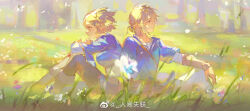 Rule 34 | 1boy, 1girl, adapted costume, back-to-back, blonde hair, blue eyes, braid, champion&#039;s tunic (zelda), chinese commentary, commentary request, crown braid, flower, grass, green eyes, hair ornament, highres, link, nintendo, official alternate hair length, official alternate hairstyle, on ground, parted bangs, pointy ears, princess zelda, renjian shilian, short hair, sidelocks, sitting, the legend of zelda, the legend of zelda: tears of the kingdom, watermark, weibo logo, weibo username